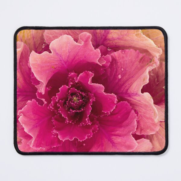 Item preview, purple cabbage open 1 designed and sold by Esther Frieda.