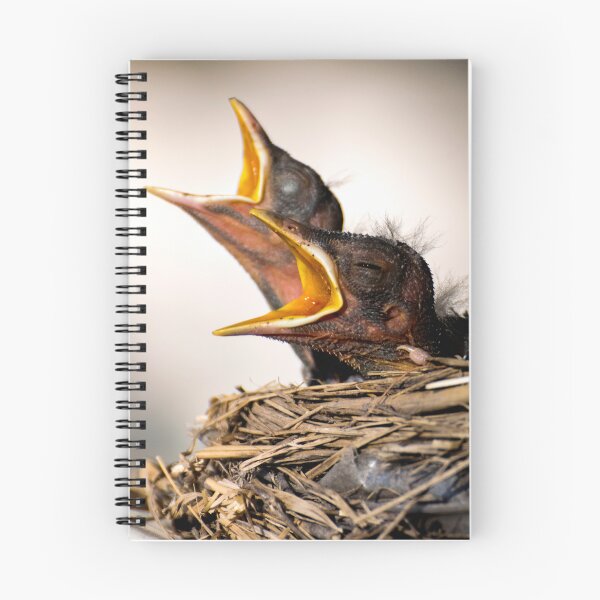 Item preview, Bocas de bebés designed and sold by Logan Marshall Photography.