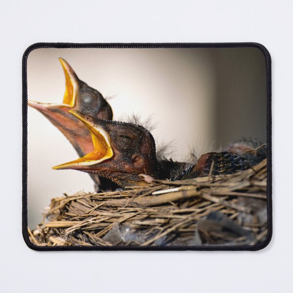 Item preview, Mouths of Babes designed and sold by Logan Marshall Photography.