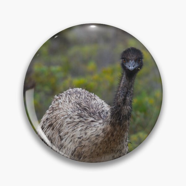 Item preview, Emu at Innes National Park, South Australia  designed and sold by EGRS Photography.