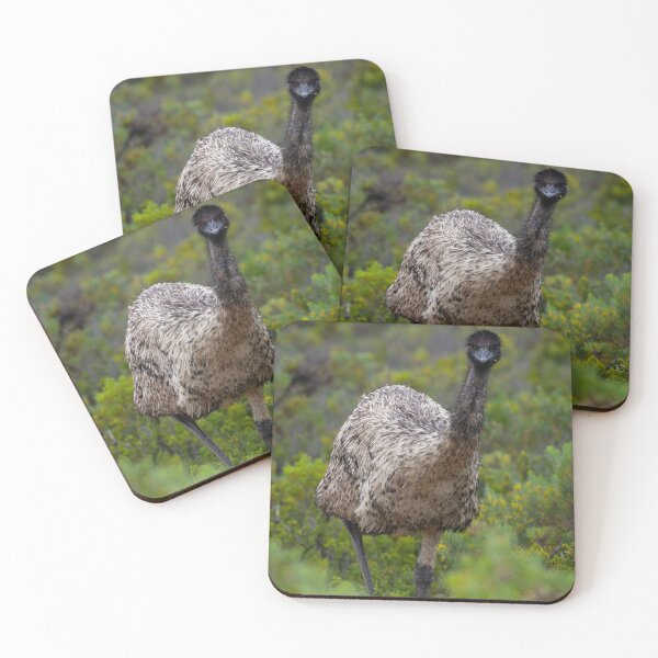 Item preview, Emu at Innes National Park, South Australia  designed and sold by EGRS Photography.