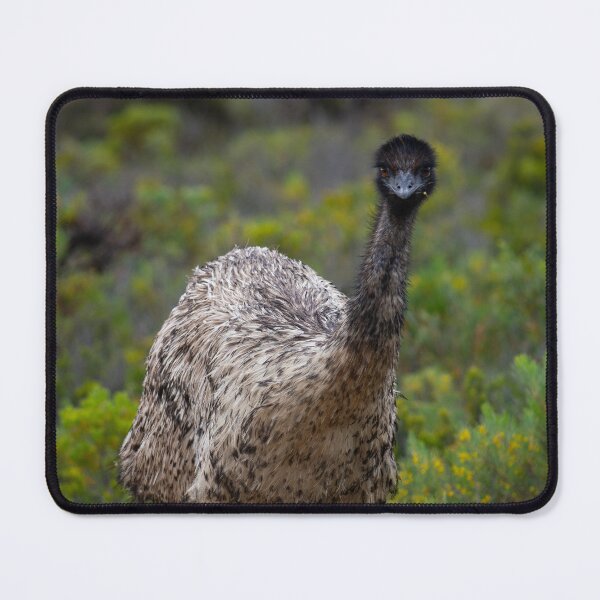 Item preview, Emu at Innes National Park, South Australia  designed and sold by EGRS Photography.