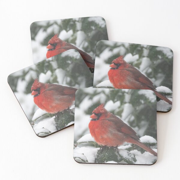 Item preview, Cardinal Perched in Snow designed and sold by Logan Marshall Photography.