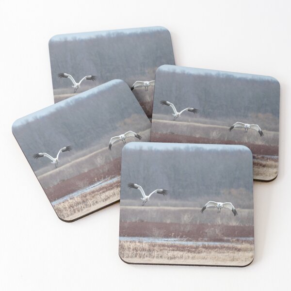 Item preview, Whooping Cranes at Goose Pond designed and sold by Logan Marshall Photography.
