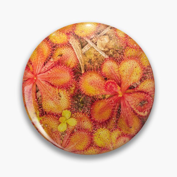 Item preview, sundew carpet designed and sold by Esther Frieda.