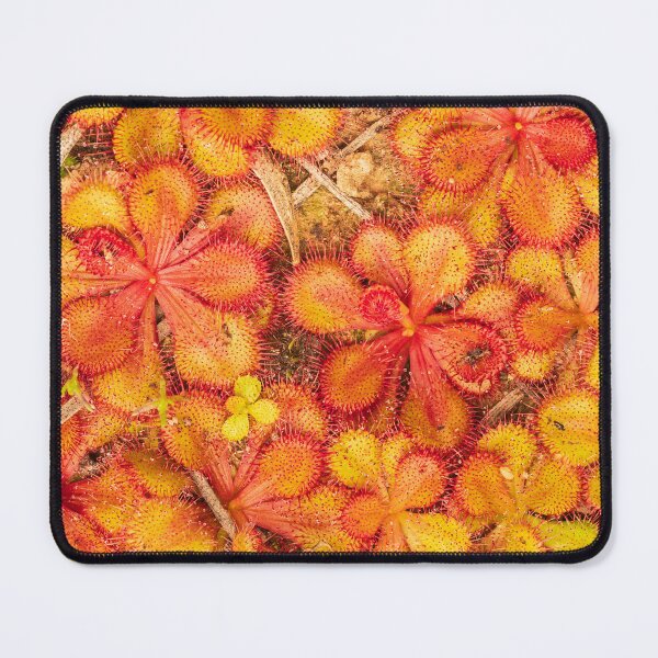 Item preview, sundew carpet designed and sold by Esther Frieda.