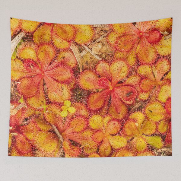 Item preview, sundew carpet designed and sold by Esther Frieda.