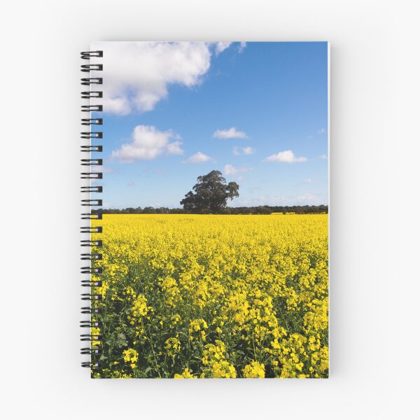 Item preview, Canola field - Gawler, South Australia  designed and sold by EGRS Photography.