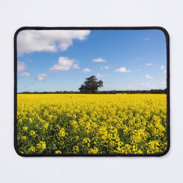 Item preview, Canola field - Gawler, South Australia  designed and sold by EGRS Photography.