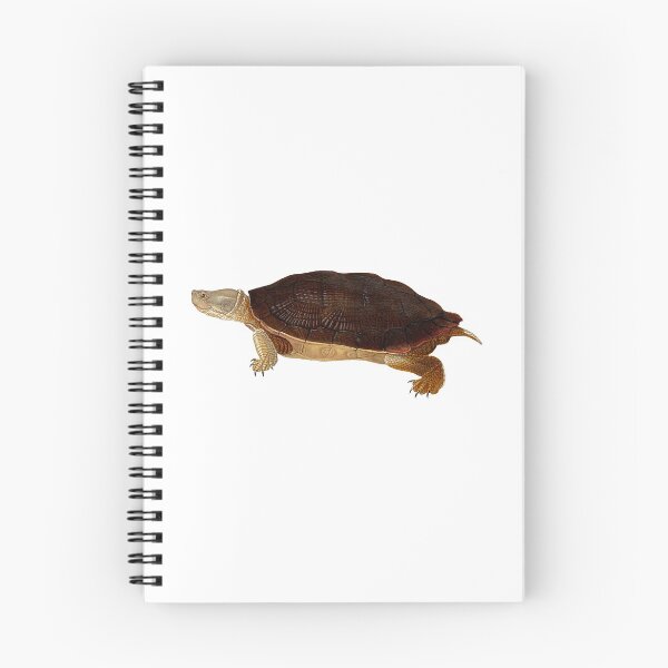 Item preview, Cuban Slider Turtle designed and sold by Reethes.