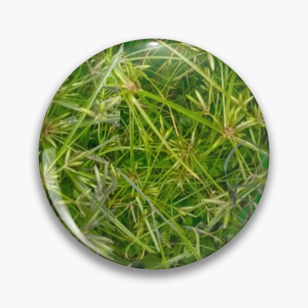 Item preview, Wild grass designed and sold by Ranikhan.