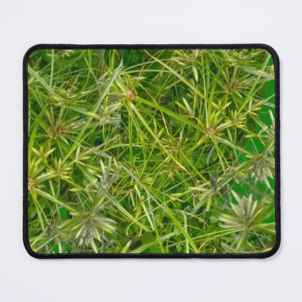 Item preview, Wild grass designed and sold by Ranikhan.