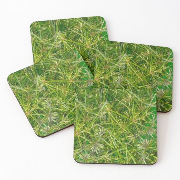 Item preview, Wild grass designed and sold by Ranikhan.