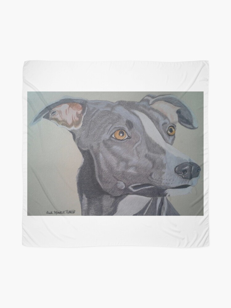 grey and white whippet