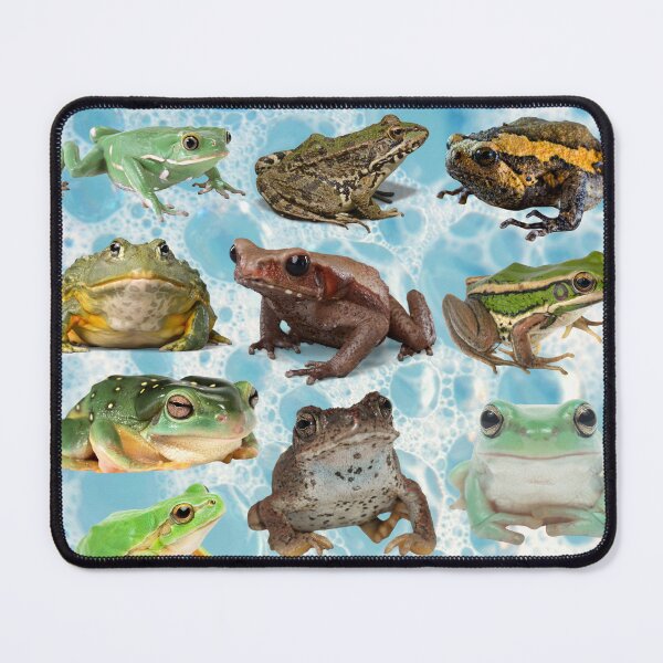 Item preview, Bubbulfrog designed and sold by BirdBonk.