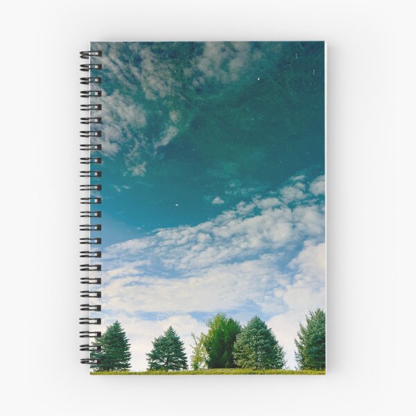 Item preview, Enigmatic Landscape with Spruces and Sky designed and sold by NatureVibesHere.