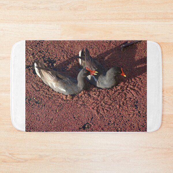 Item preview, Two Moorhens on Red Duckweed designed and sold by MercerImages.