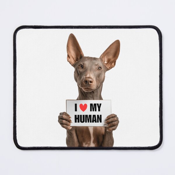 Item preview, Cute Xoloitzcuintli dog with Signboard I love my Human  designed and sold by LazyOwlStore.