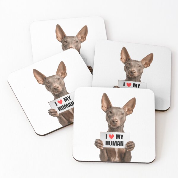 Item preview, Cute Xoloitzcuintli dog with Signboard I love my Human  designed and sold by LazyOwlStore.