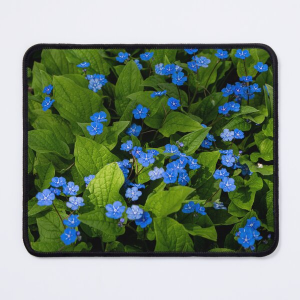 Item preview, beautiful blue carpet of memorywort (Omphalodes verna) designed and sold by TW-Fotos.