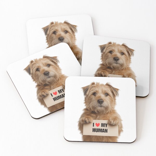 Item preview, Cute Norfolk Terrier dog with Signboard I love my Human  designed and sold by LazyOwlStore.
