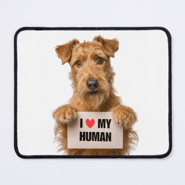 Item preview, Cute Irish Terrier dog with Signboard I love my Human  designed and sold by LazyOwlStore.