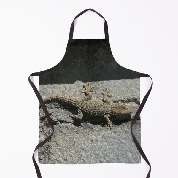 Item preview, Gecko On A Wall designed and sold by Malcolm Snook.