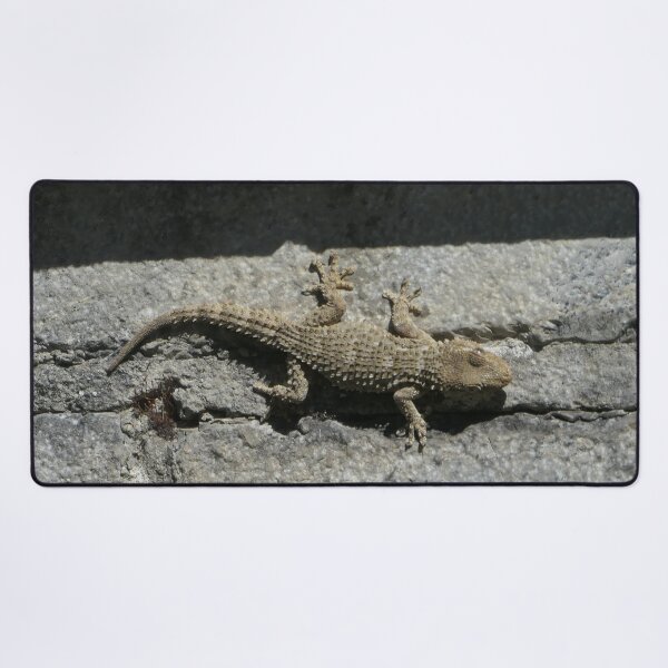 Item preview, Gecko On A Wall designed and sold by Malcolm Snook.