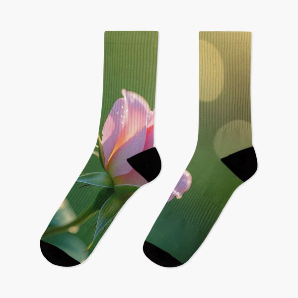 Item preview, The Solitary Bloom designed and sold by xArchGoDx.