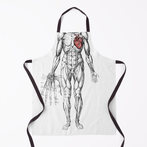 Item preview, Anatomical Human Body with Heart – Vintage Anatomy Illustration designed and sold by chillprint1.