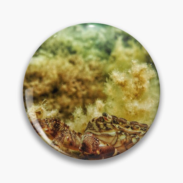 Item preview, brown and white crab  designed and sold by newandchange.