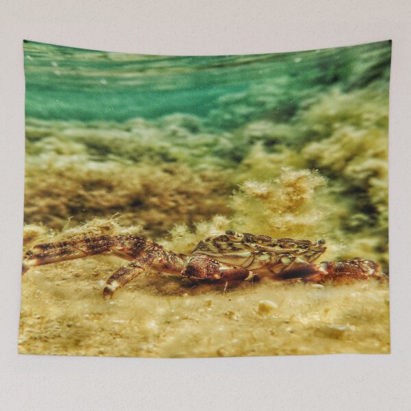 Item preview, brown and white crab  designed and sold by newandchange.