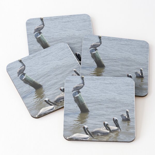 Aperçu de l'œuvre Pélicans - mettre leurs canards dans une cage créée et vendue par Photoboxything.