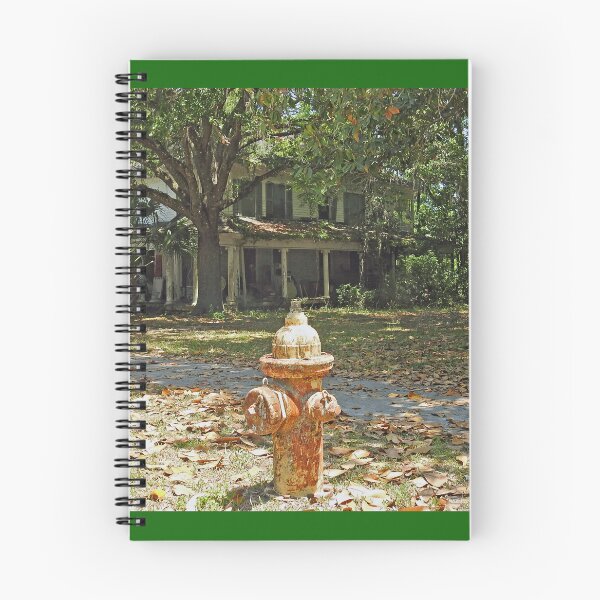 Item preview, Fire Hydrant designed and sold by Photoboxything.