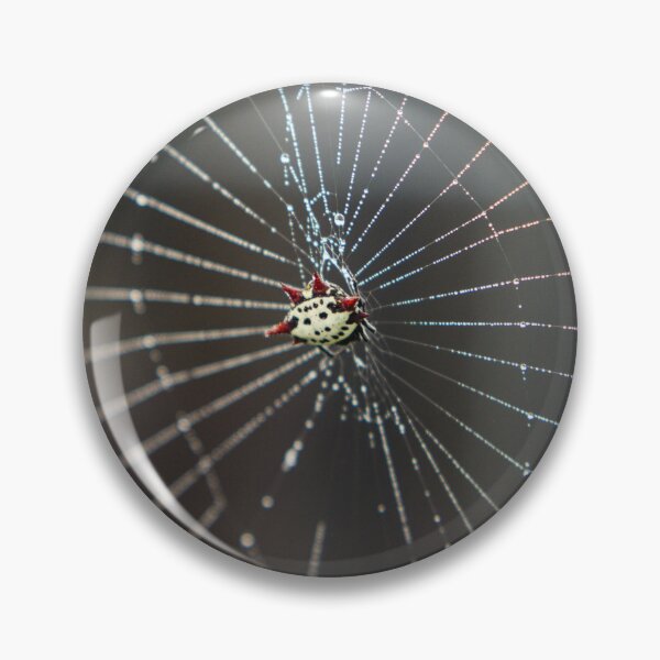Item preview, Orb Weaver Spider designed and sold by Kaitlyn Kies.