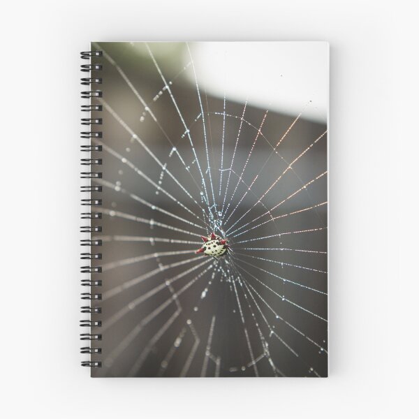 Item preview, Orb Weaver Spider designed and sold by Kaitlyn Kies.