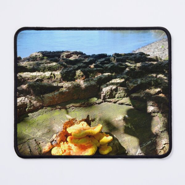 Item preview, Golden Bloom on the Danube Shore designed and sold by Peter-Mahr.