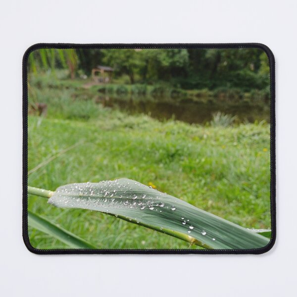 Item preview, Rain Drops on Reed Leaf designed and sold by Peter-Mahr.