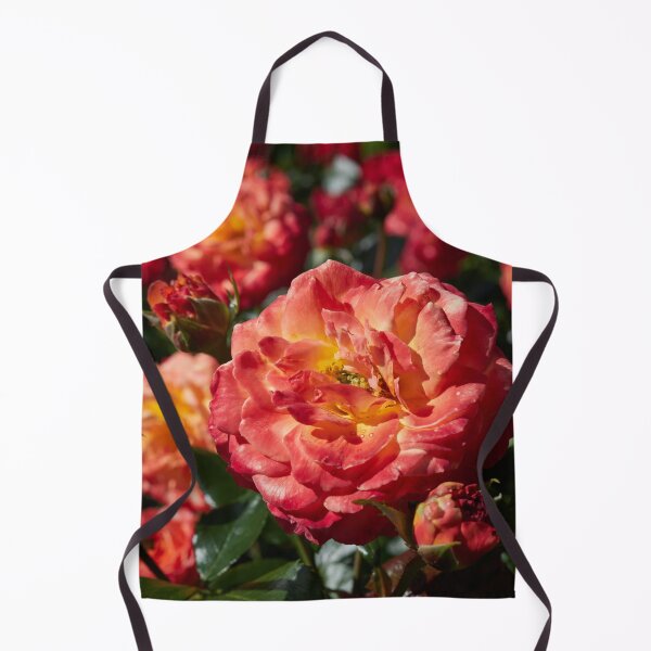 Item preview, Meteor shower. Roses of the late summer series numer 17 designed and sold by Jouko Lehto Photography.