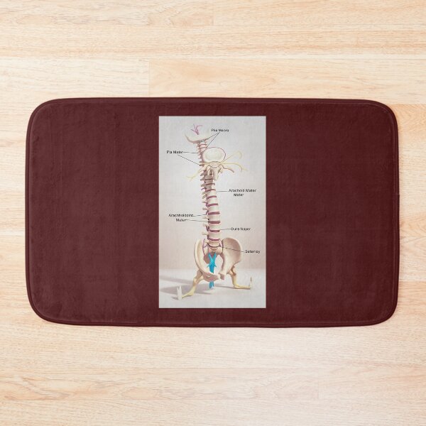 Item preview, Human Spine Anatomy Model designed and sold by Amber Thomas.