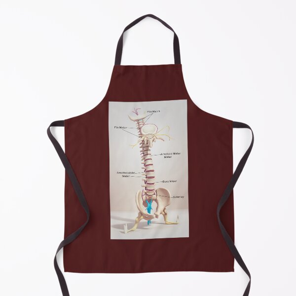 Item preview, Human Spine Anatomy Model designed and sold by Amber Thomas.