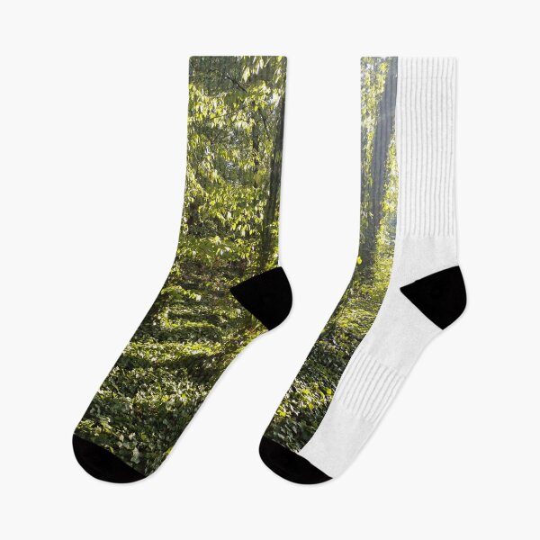 Item preview, Golden Evening Light in an Ivy-Covered Forest designed and sold by Peter-Mahr.