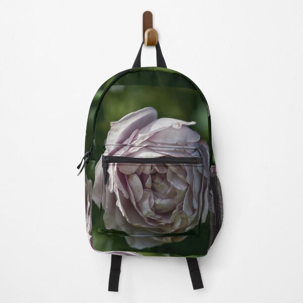 Item preview, Almost frozen. Roses of the late summer series numer 19 designed and sold by Jouko Lehto Photography.