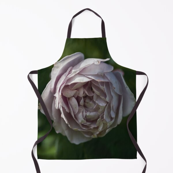 Item preview, Almost frozen. Roses of the late summer series numer 19 designed and sold by Jouko Lehto Photography.