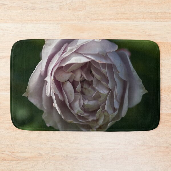 Item preview, Almost frozen. Roses of the late summer series numer 19 designed and sold by Jouko Lehto Photography.