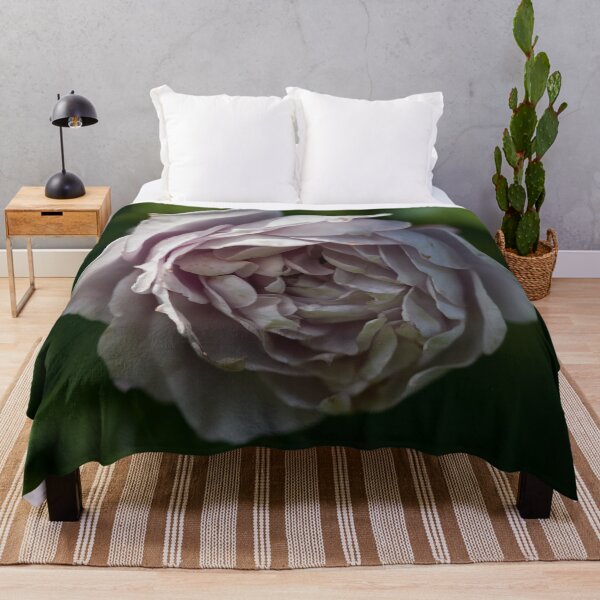 Item preview, Almost frozen. Roses of the late summer series numer 19 designed and sold by Jouko Lehto Photography.