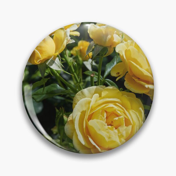 Item preview, Inka one. Roses of the late summer series numer 20 designed and sold by Jouko Lehto Photography.
