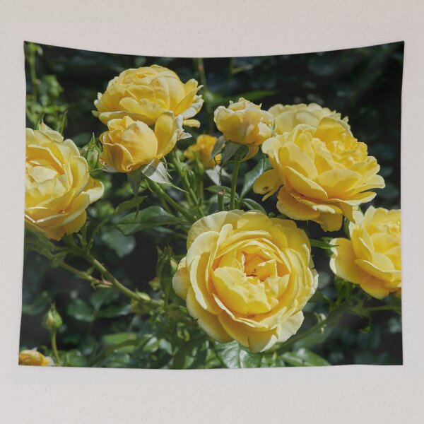 Item preview, Inka one. Roses of the late summer series numer 20 designed and sold by Jouko Lehto Photography.