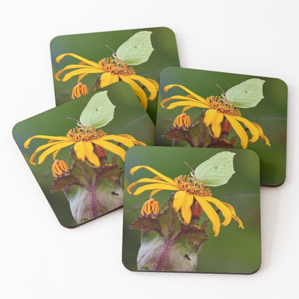 Item preview, The last of this summer. Brimstone designed and sold by Jouko Lehto Photography.