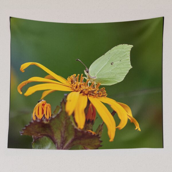 Item preview, The last of this summer. Brimstone designed and sold by Jouko Lehto Photography.